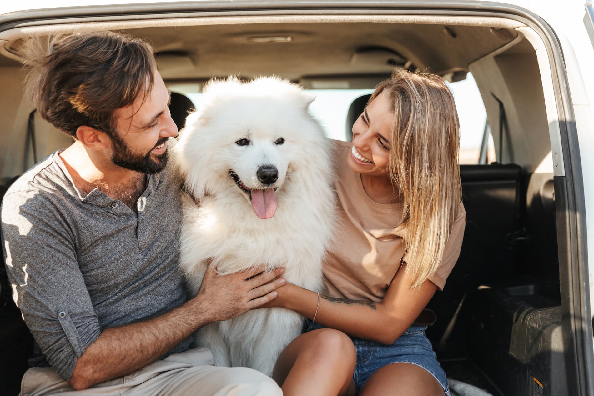 Viaggi con animali